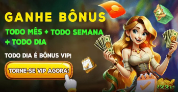 8565bet Plataforma